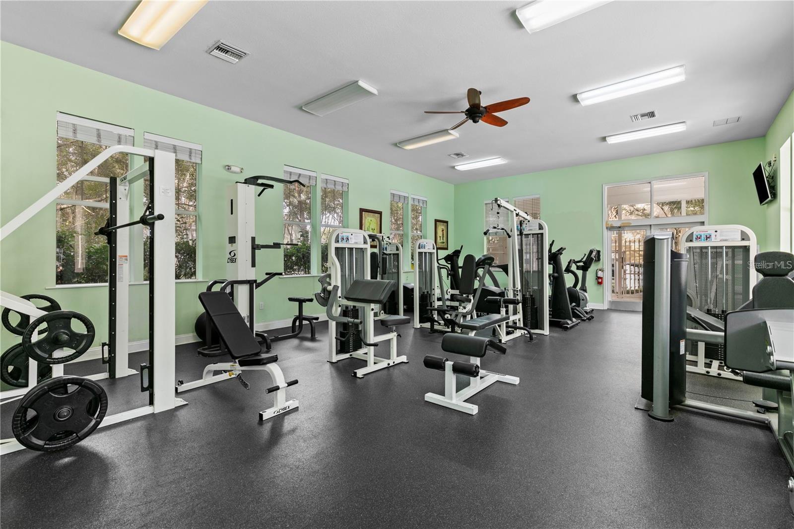 THE VILLAGE AT HAILE - Residential