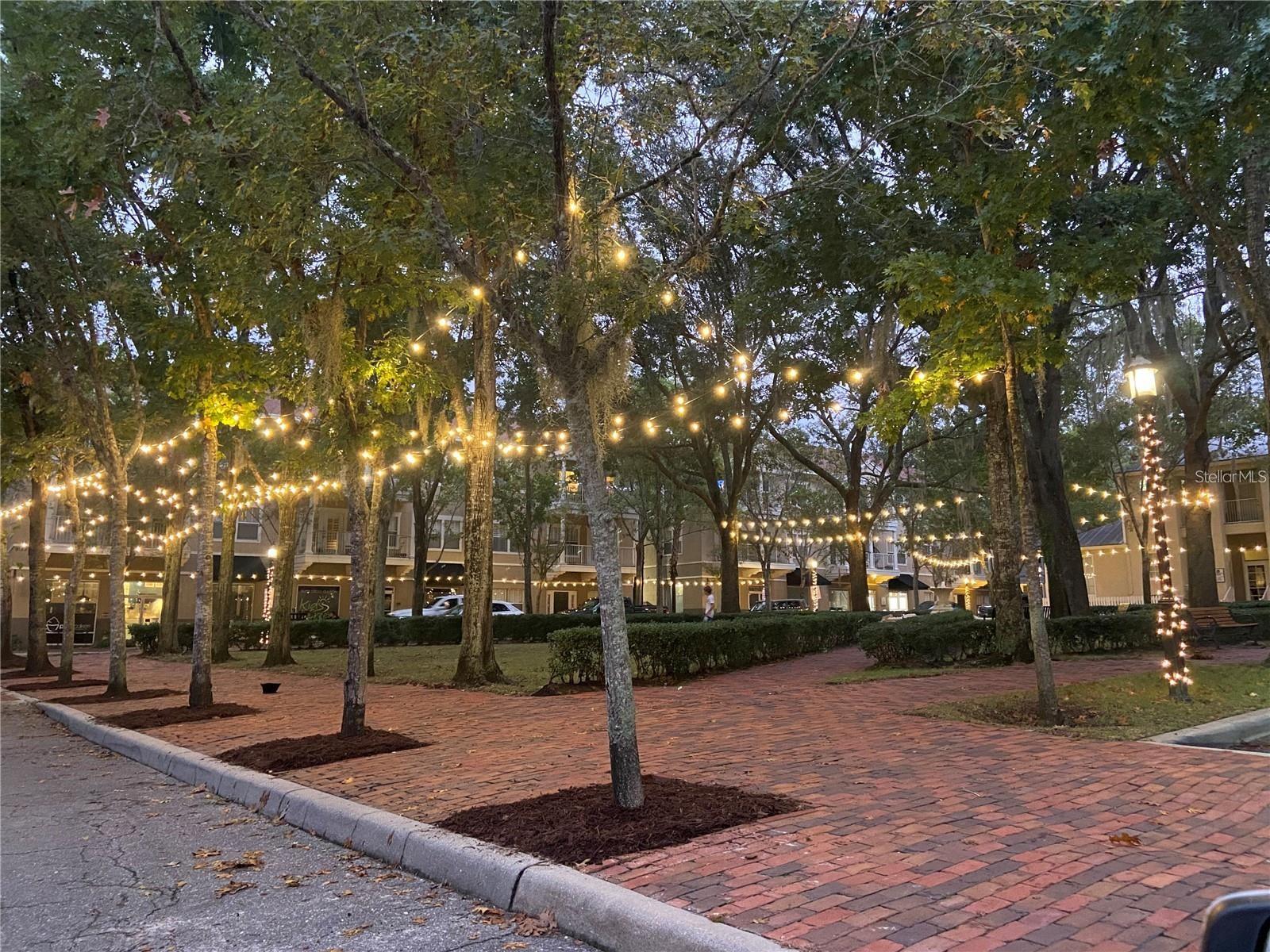 THE VILLAGE AT HAILE - Residential