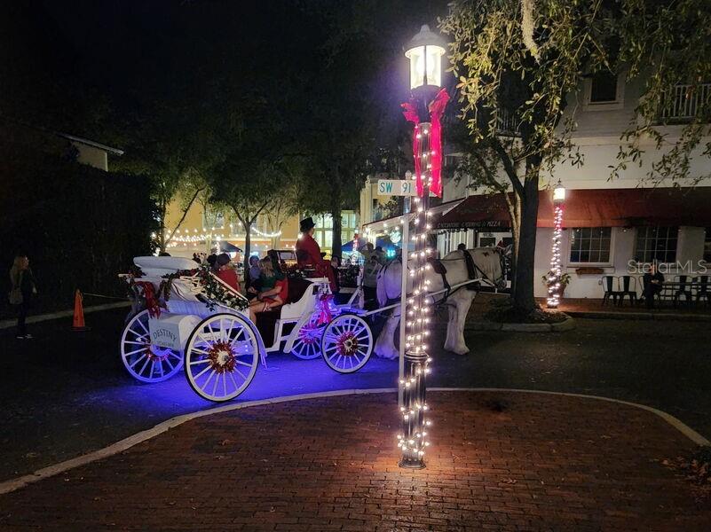 THE VILLAGE AT HAILE - Residential