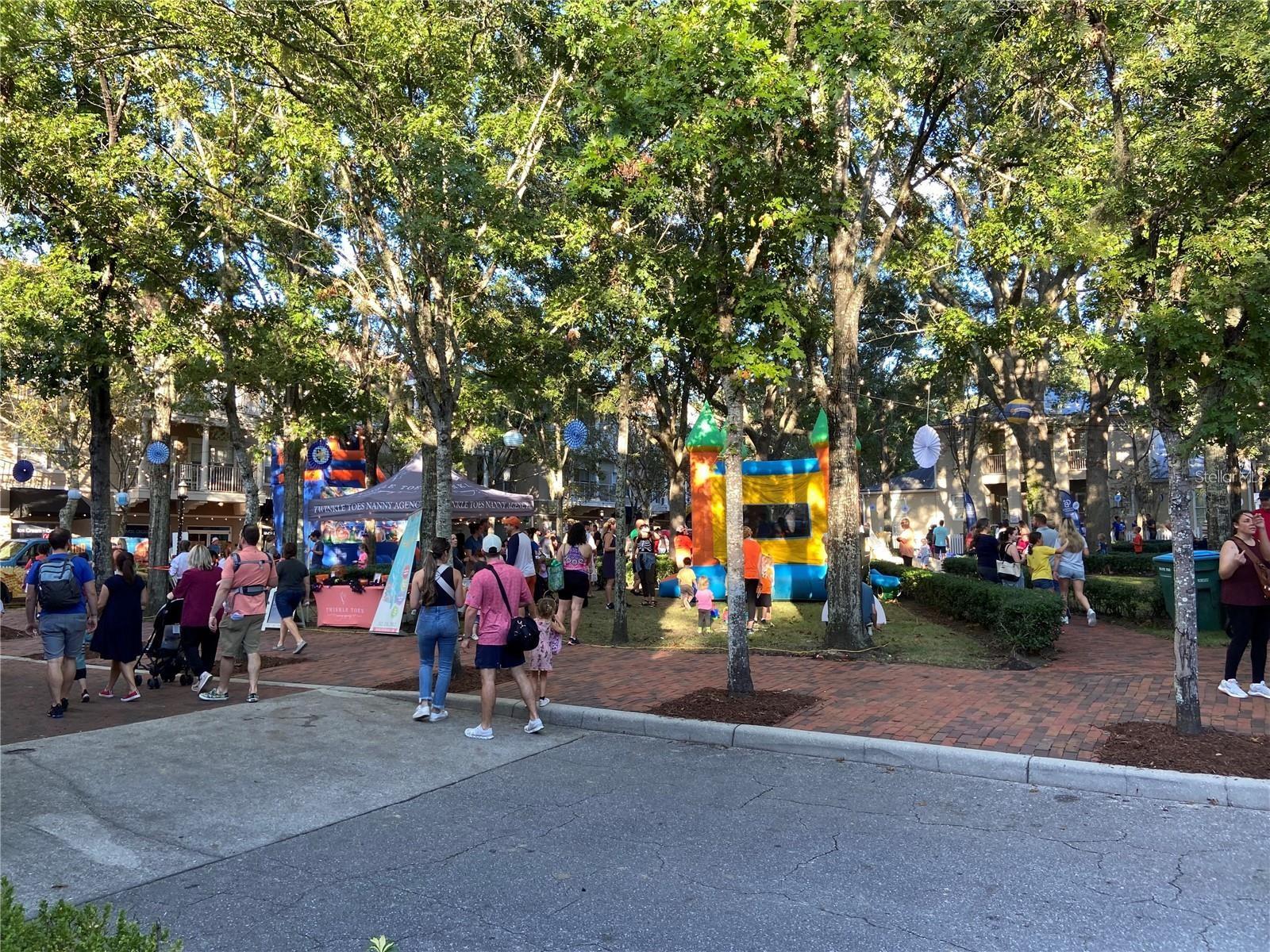 THE VILLAGE AT HAILE - Residential