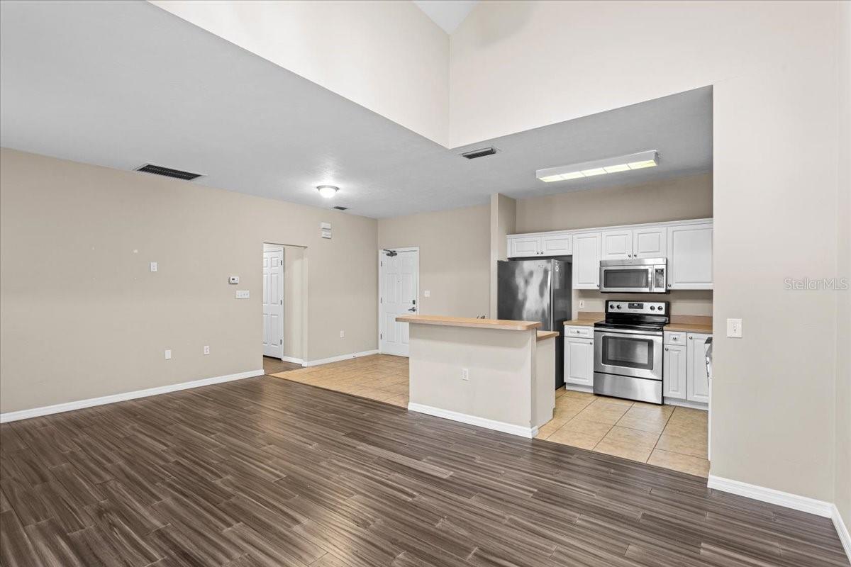 THE VILLAGE AT HAILE - Residential