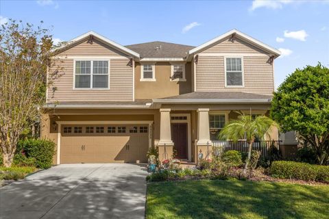 A home in MOUNT DORA