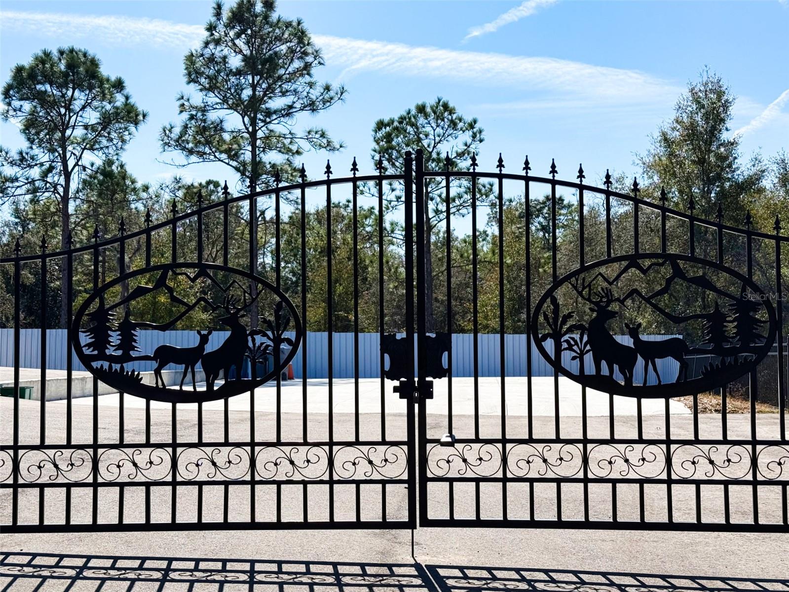 RIDGE MANOR ESTATES - Residential