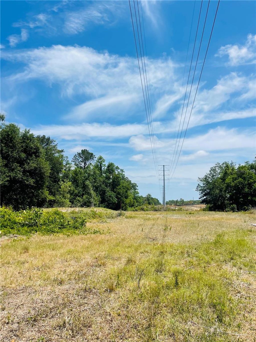 Photo of 4000 Fox Ridge Boulevard, Zephyrhills, FL 33543 (MLS # TB8354474)