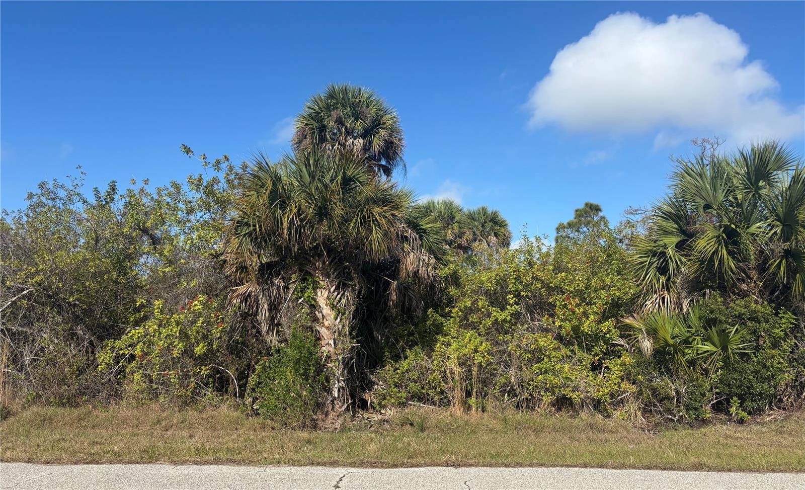 PORT CHARLOTTE SEC 067 - Land