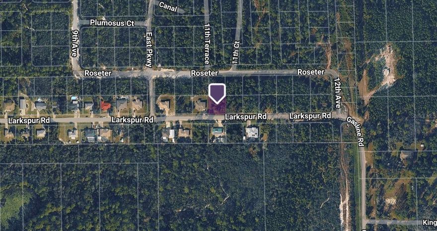 Excellent opportunity to own land in the growing DeLand area of Volusia County. This property offers a quiet, rural setting with convenient access to major roadways, shopping, dining, and everyday essentials. Surrounded by natural Florida landscape, it provides flexibility for a future homesite, manufactured home (verify zoning and building requirements), or long-term investment hold. Located just minutes from Downtown DeLand, Stetson University, and local medical facilities, with easy access to SR-44 and I-4 for commuting to Orlando or Daytona Beach. Enjoy nearby parks, lakes, and outdoor recreation while still being within reach of Central Florida’s major employment and entertainment hubs. Whether you’re looking to build, invest, or secure land in a steadily appreciating area, this DeLand parcel offers strong potential and value in a desirable location. Cash Purchase only. Buyer Pays closing costs