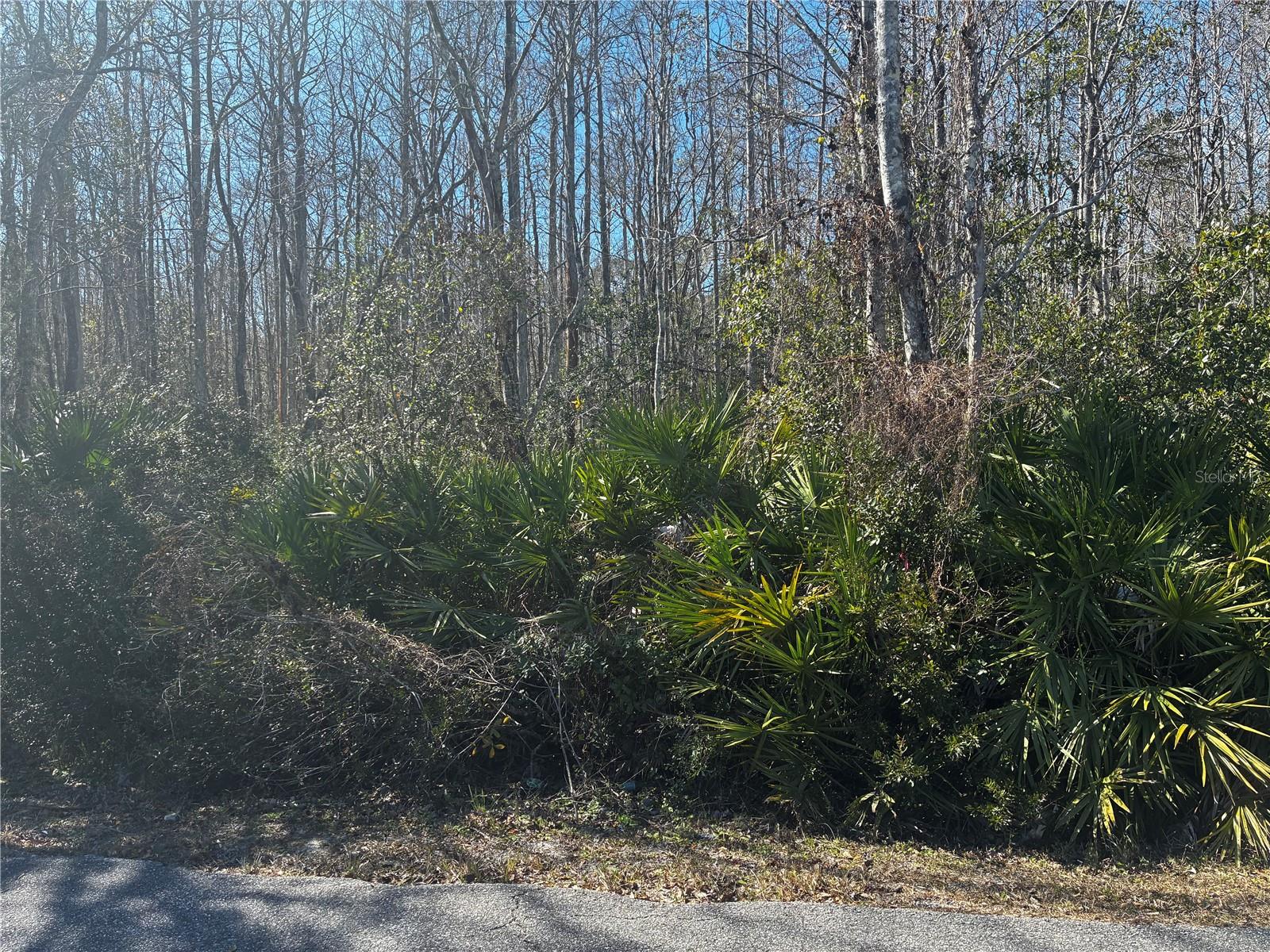 ORLANDO IMPROVEMENT COMPANY - Land