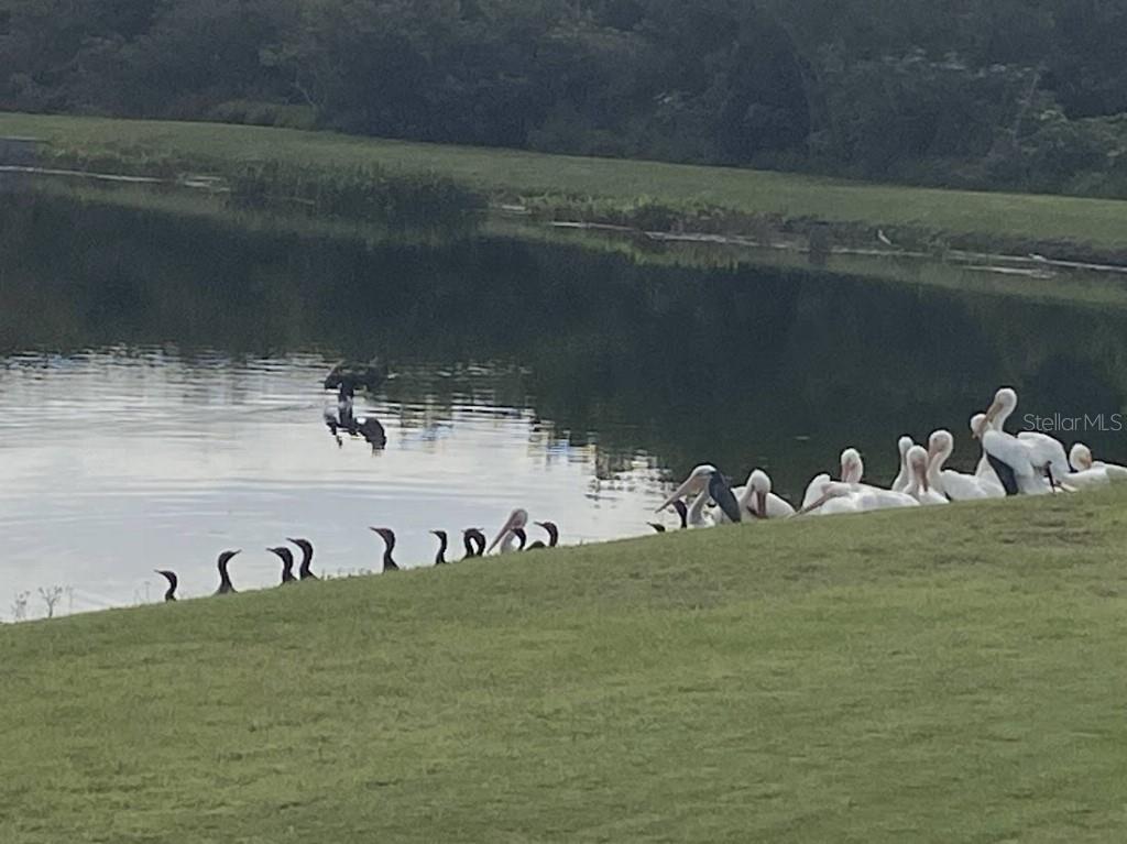 BAHIA LAKES PH 3 - Residential