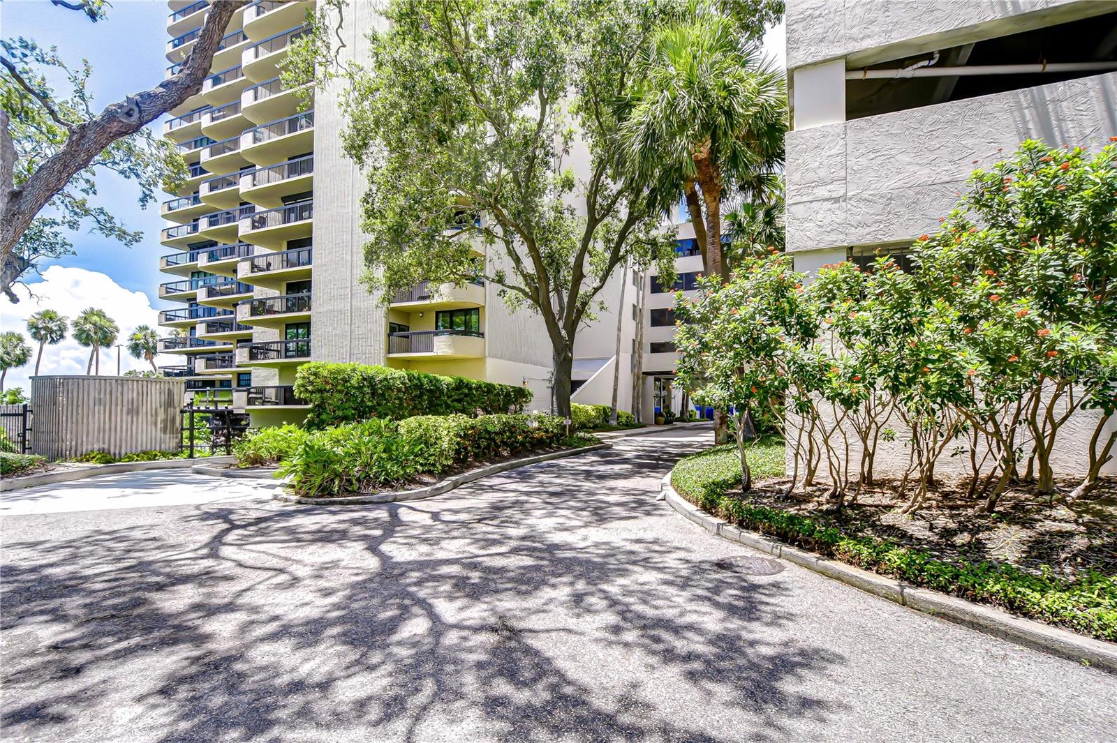 ATRIUM ON THE BAYSHORE - Residential
