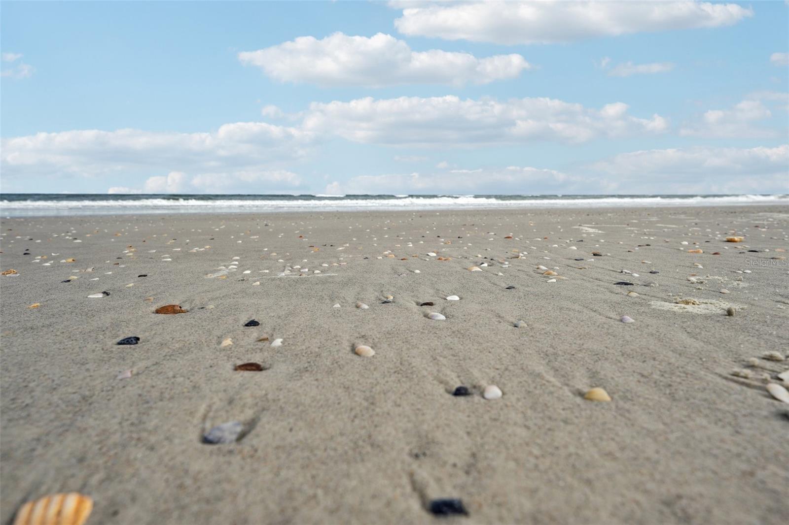 PACETTI SUB NORTH BCH - Residential