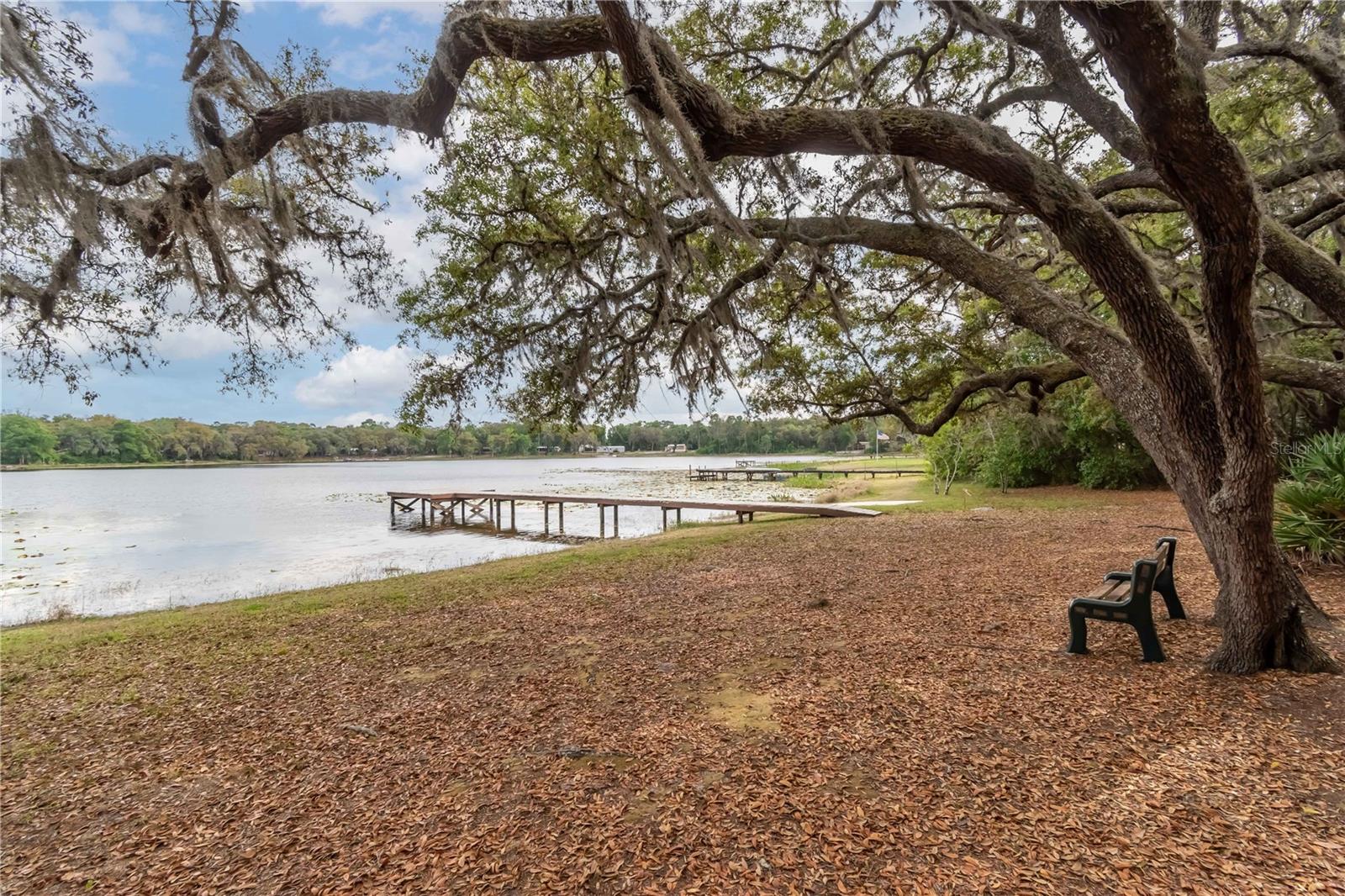 MILES KALE LAKE - Residential