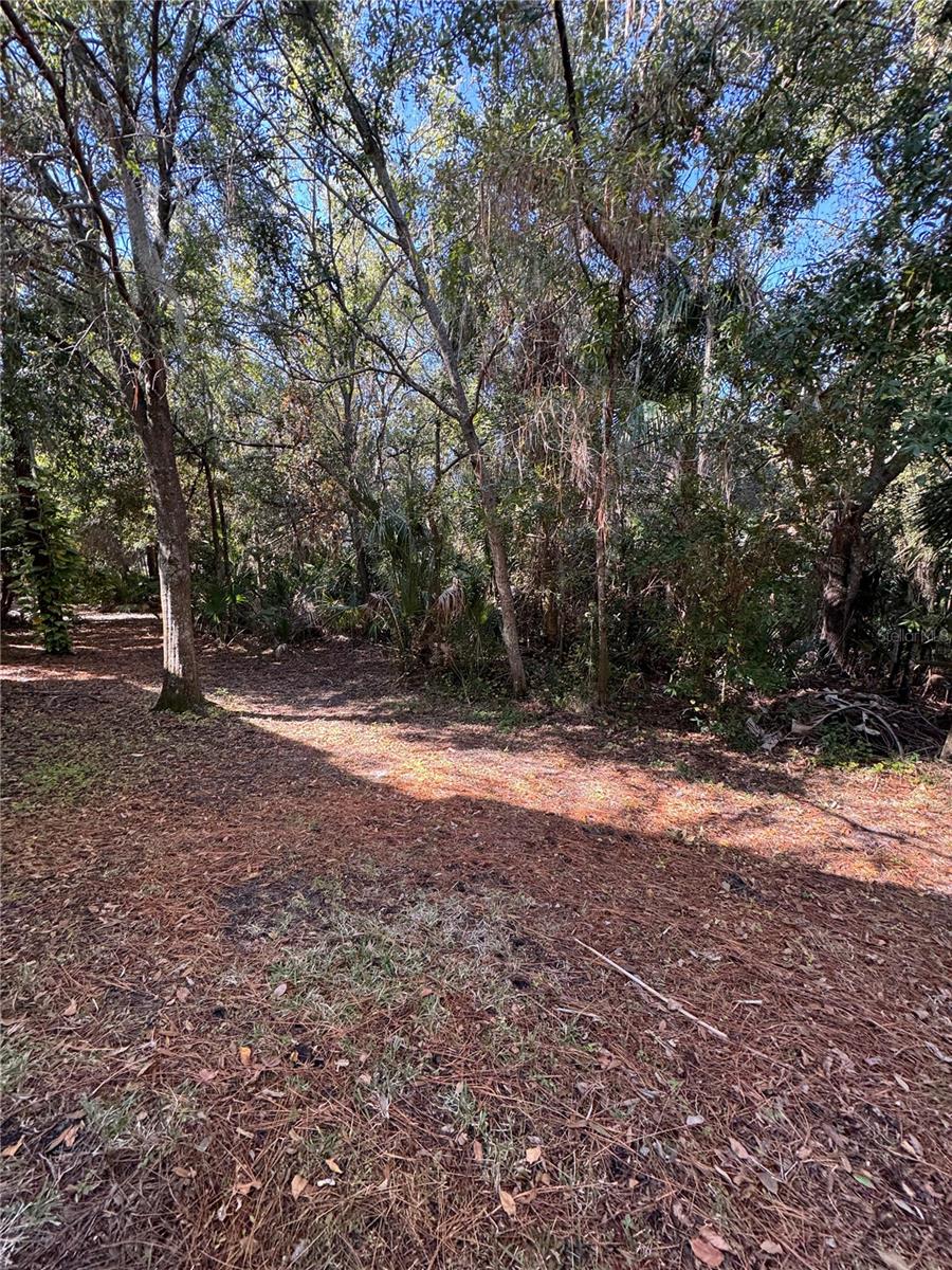 EAGLE PALM PH 1 - Residential Lease