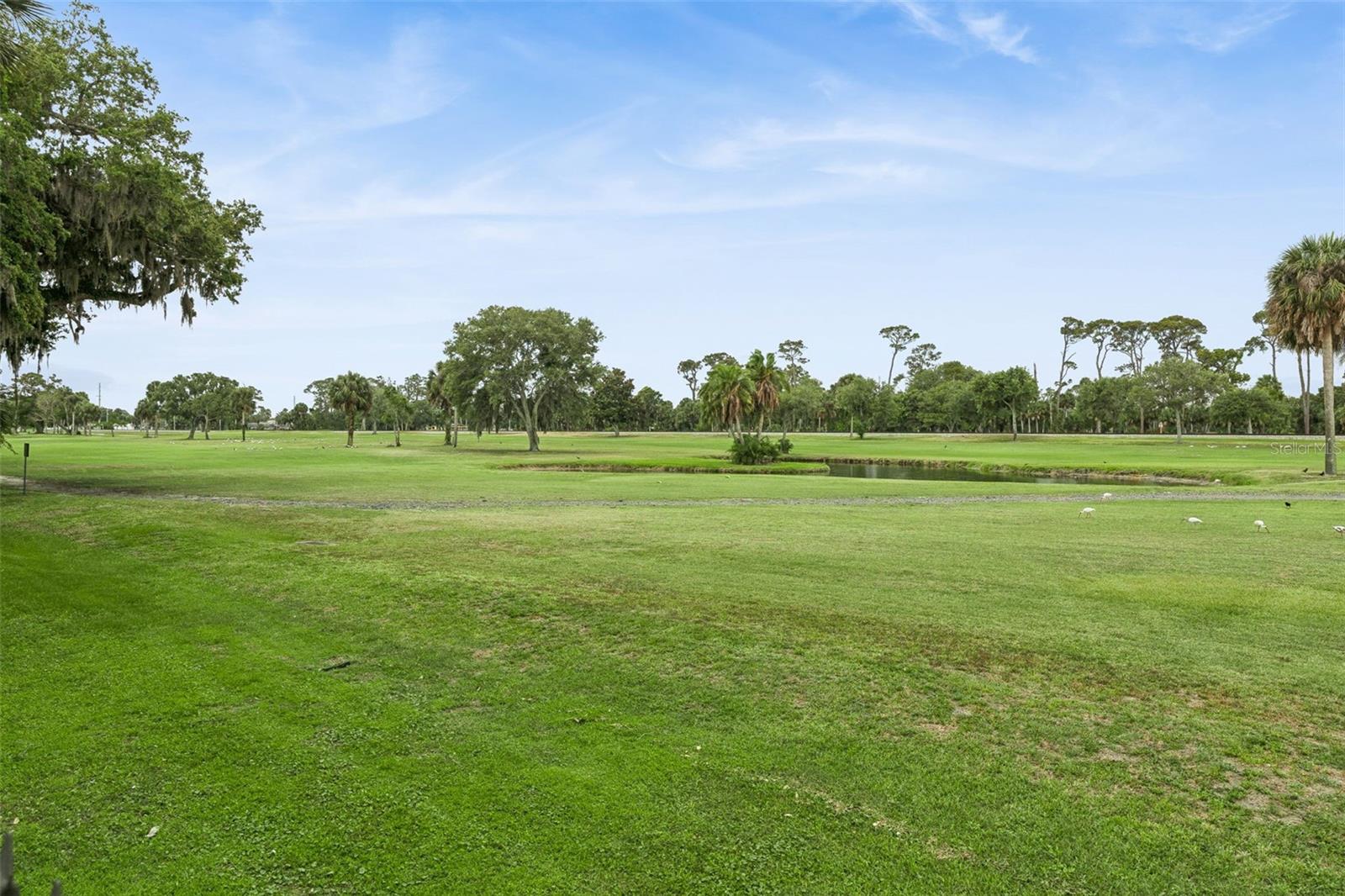 GOLFS EDGE CONDO - Residential
