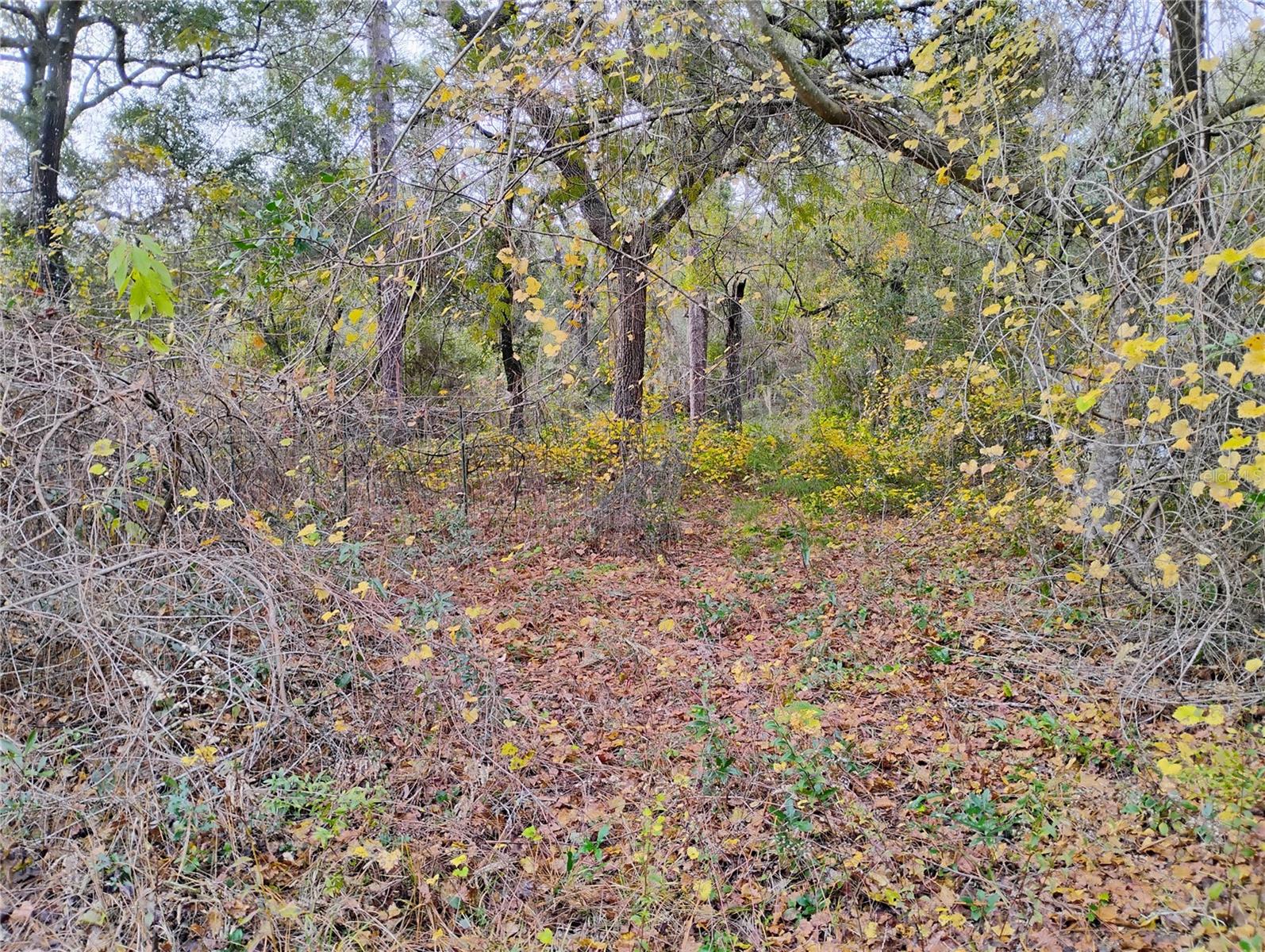 INTERLACHEN LAKES ESTATES - Land