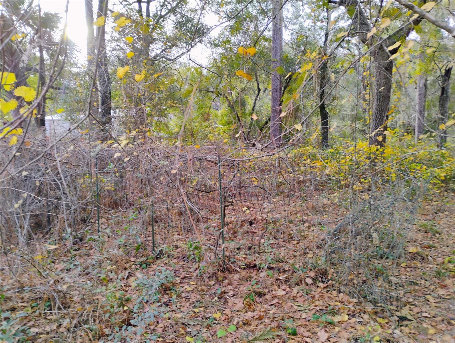 INTERLACHEN LAKES ESTATES - Land