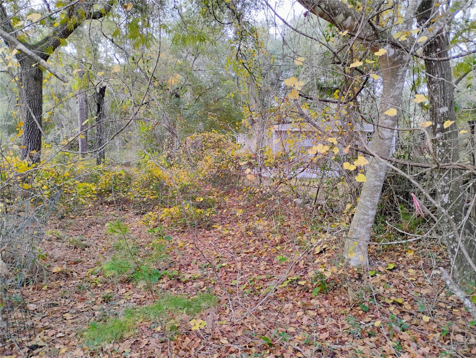 INTERLACHEN LAKES ESTATES - Land