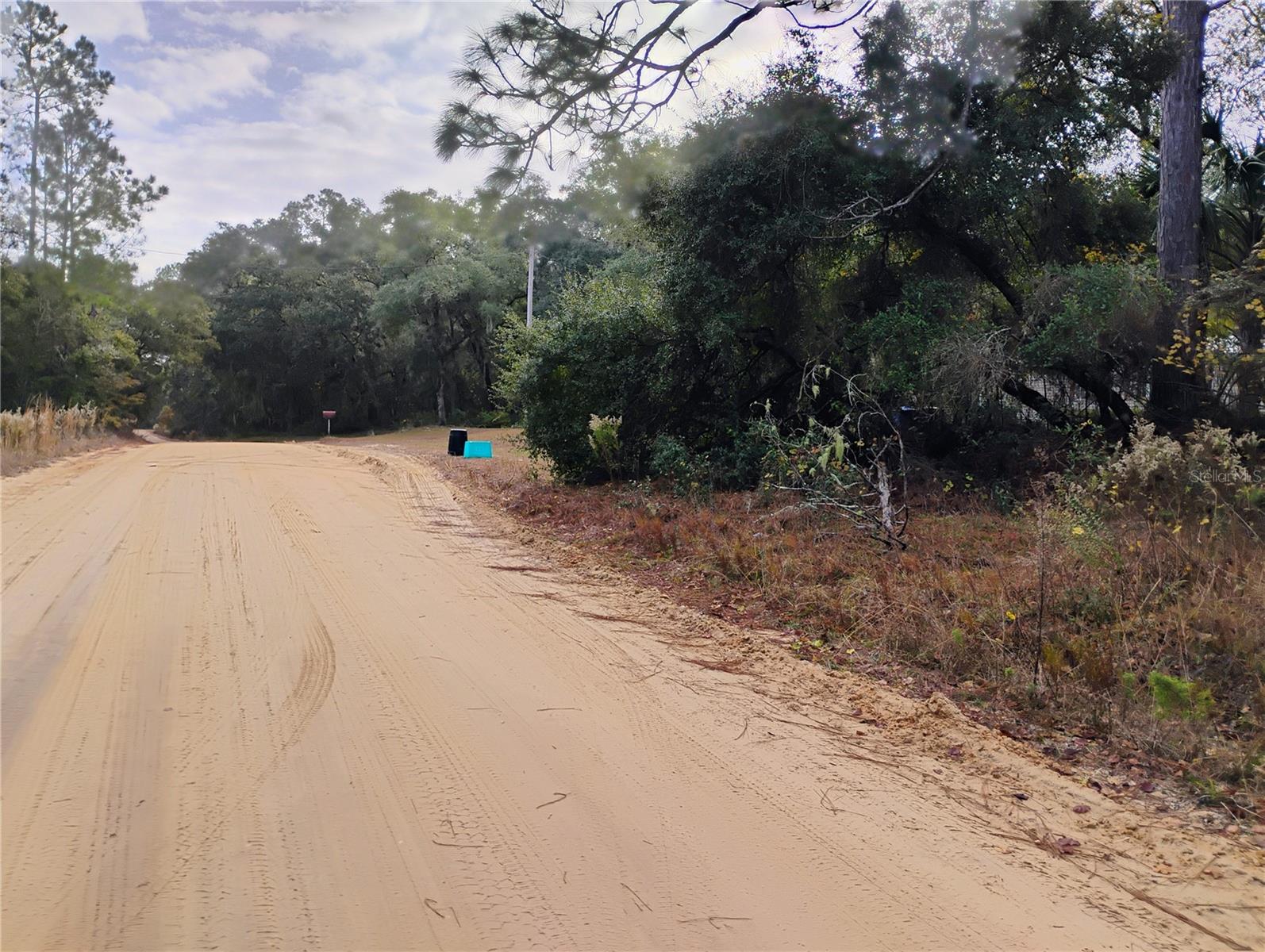 Nice 1/2 acrea Buildable lot not in wetlands status, please check with county on what usage is allowed, single family and mobile homes are in the area, has access close by to power pole, needs well and septic, owner financing with 50% down, growing area act now before it' to late..