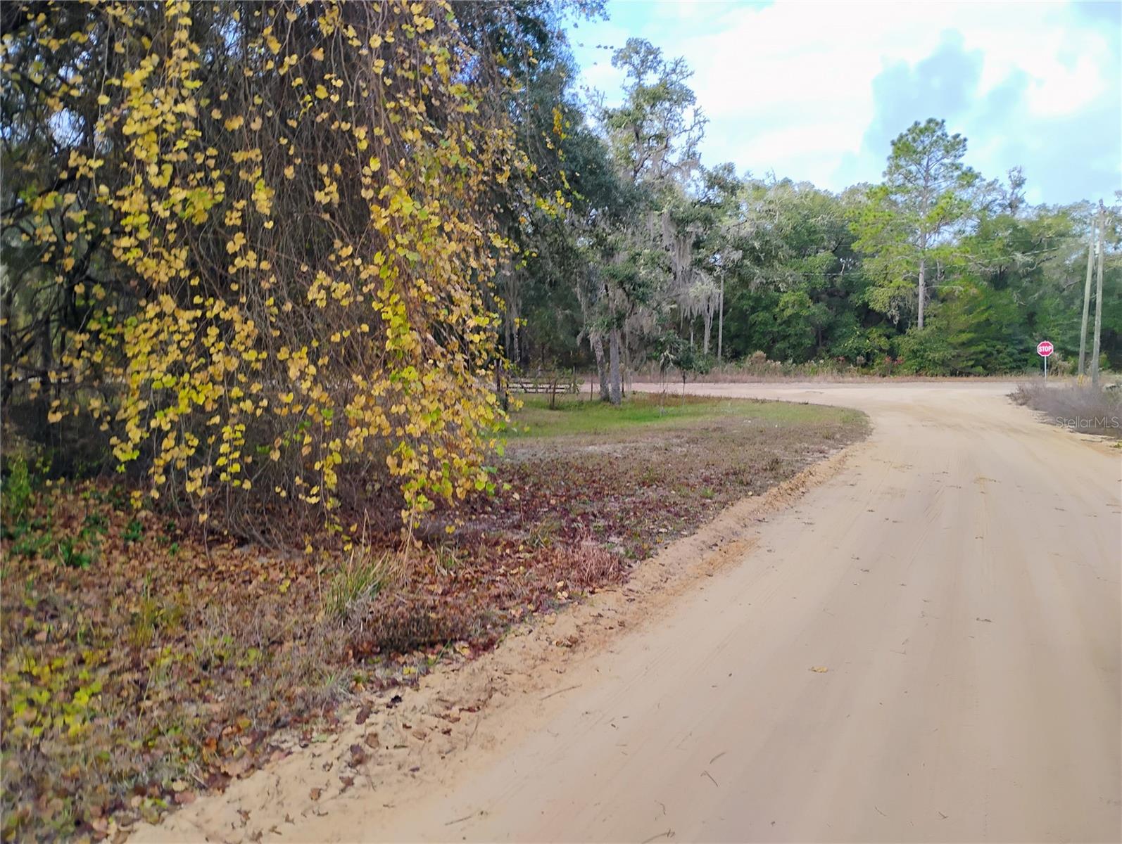 INTERLACHEN LAKES ESTATES - Land