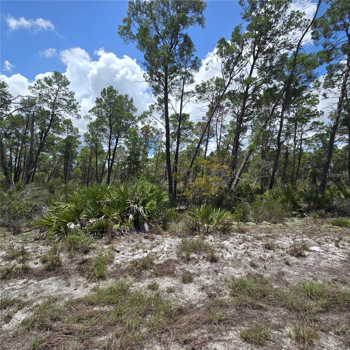 SEBRING HILLS SOUTH #4 - Land