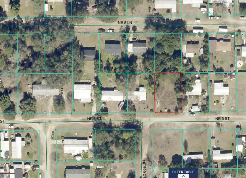 Photo of 12945 NE 5th Street, Silver Springs, FL 34488 (MLS # OM711288)
