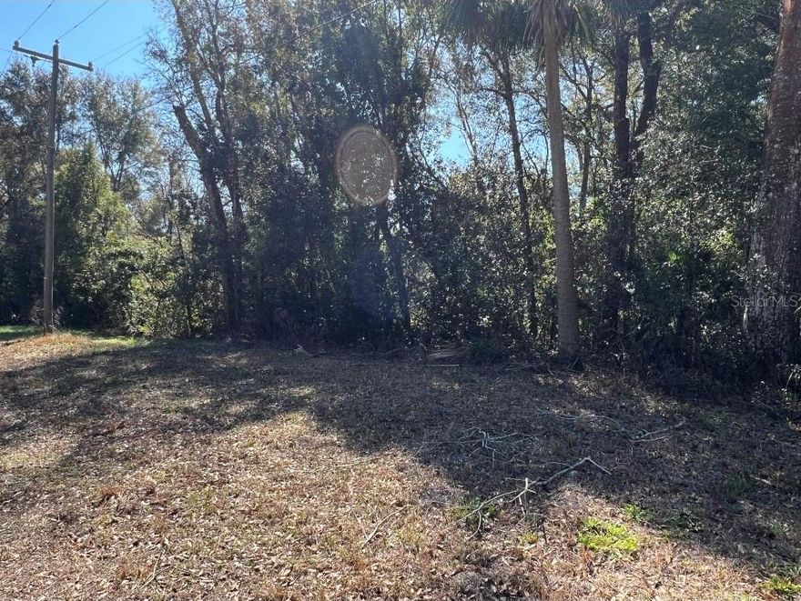 Rare vacant lot, almost 2 acres in Masarkytown. Located close to shopping, medical, dining but still has that country feel.
No deed restrictions, no hoa, no cdd. Enjoy nature, have a buffer from the outside world or design your dream yard. Build your dream and enjoy your slice of heaven.
