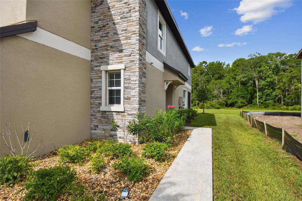 Photo of 17516 Nectar Flume Drive, Land O Lakes, FL 34638 (MLS # TB8402363)