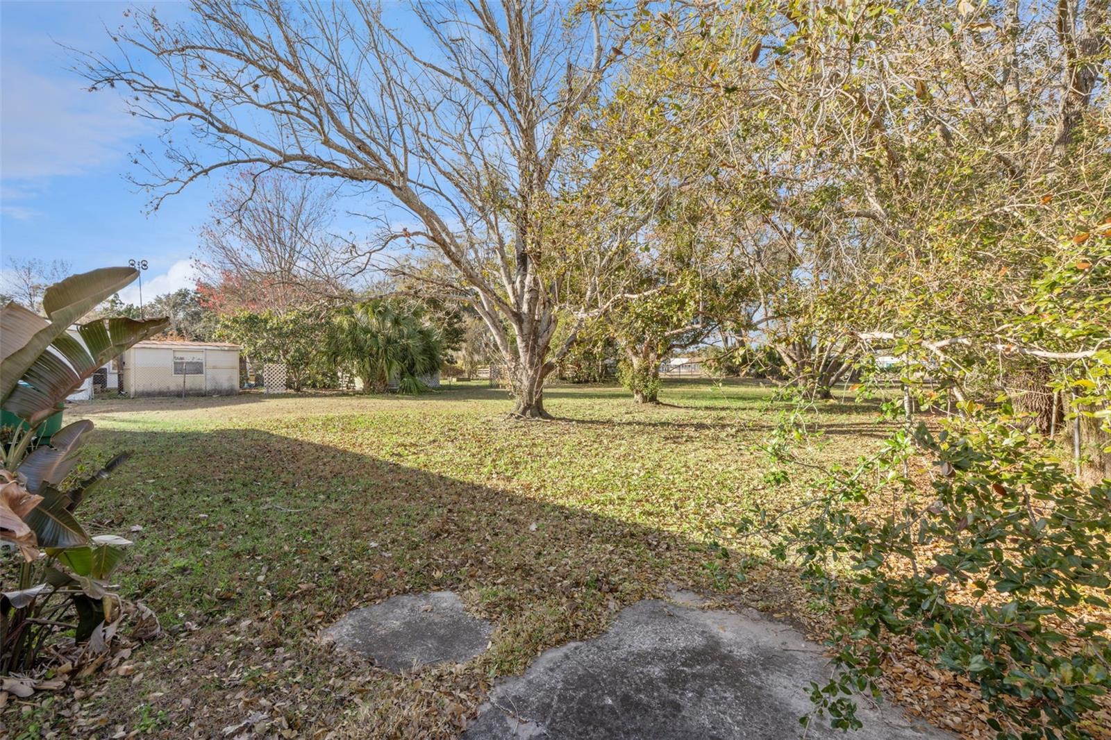 WILDMERE - Residential