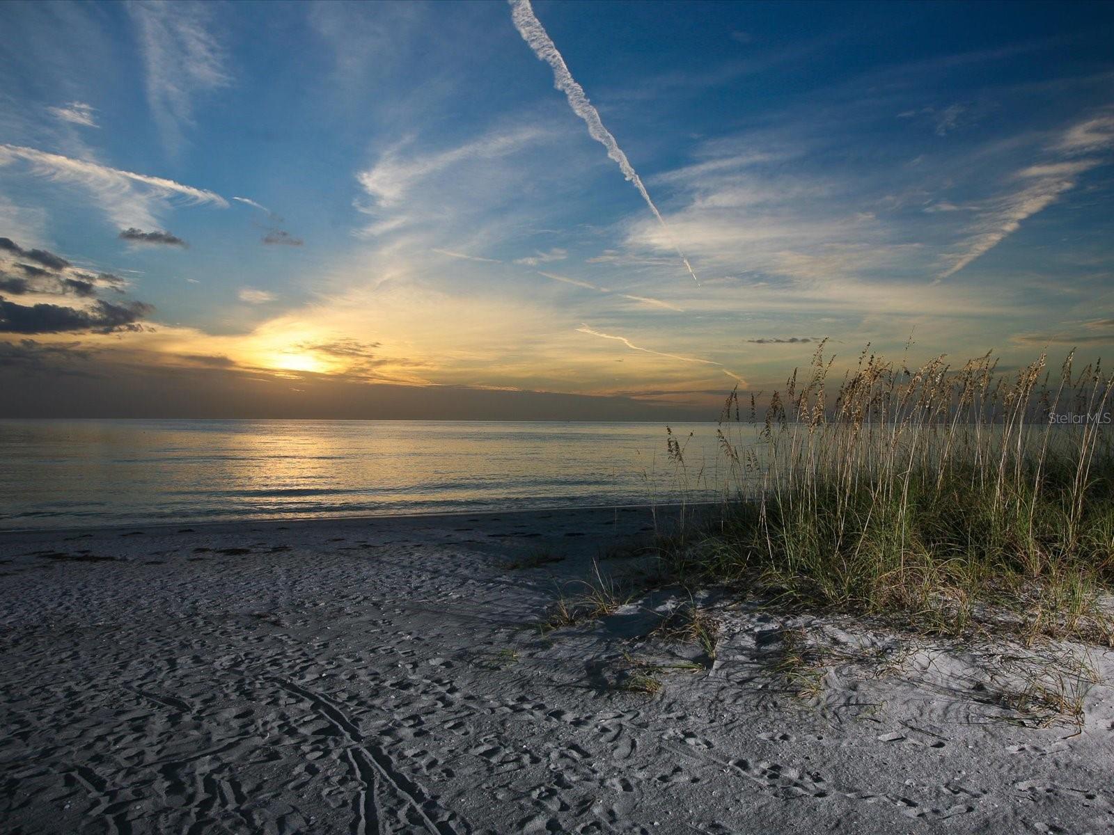 HOLIDAY APTS - Residential