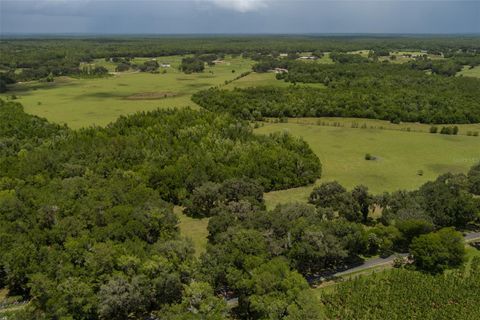 Tiny photo for 9504 NW Hwy 320, Micanopy, FL 32667 (MLS # OM725916)