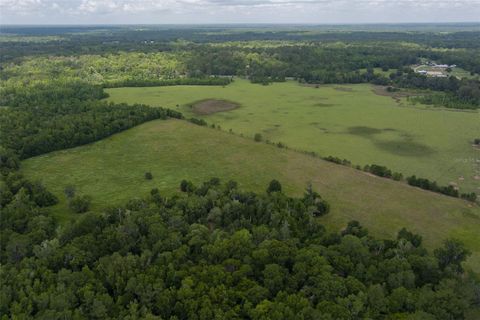 Tiny photo for 9504 NW Hwy 320, Micanopy, FL 32667 (MLS # OM725916)