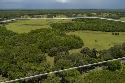 Tiny photo for 9504 NW Hwy 320, Micanopy, FL 32667 (MLS # OM725916)