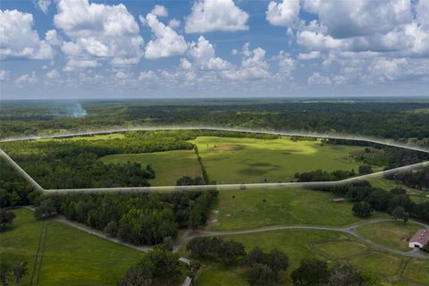 Photo of 9504 NW Hwy 320, Micanopy, FL 32667 (MLS # OM725916)
