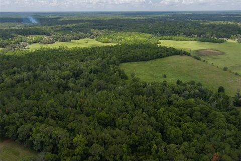 Tiny photo for 9504 NW Hwy 320, Micanopy, FL 32667 (MLS # OM725916)