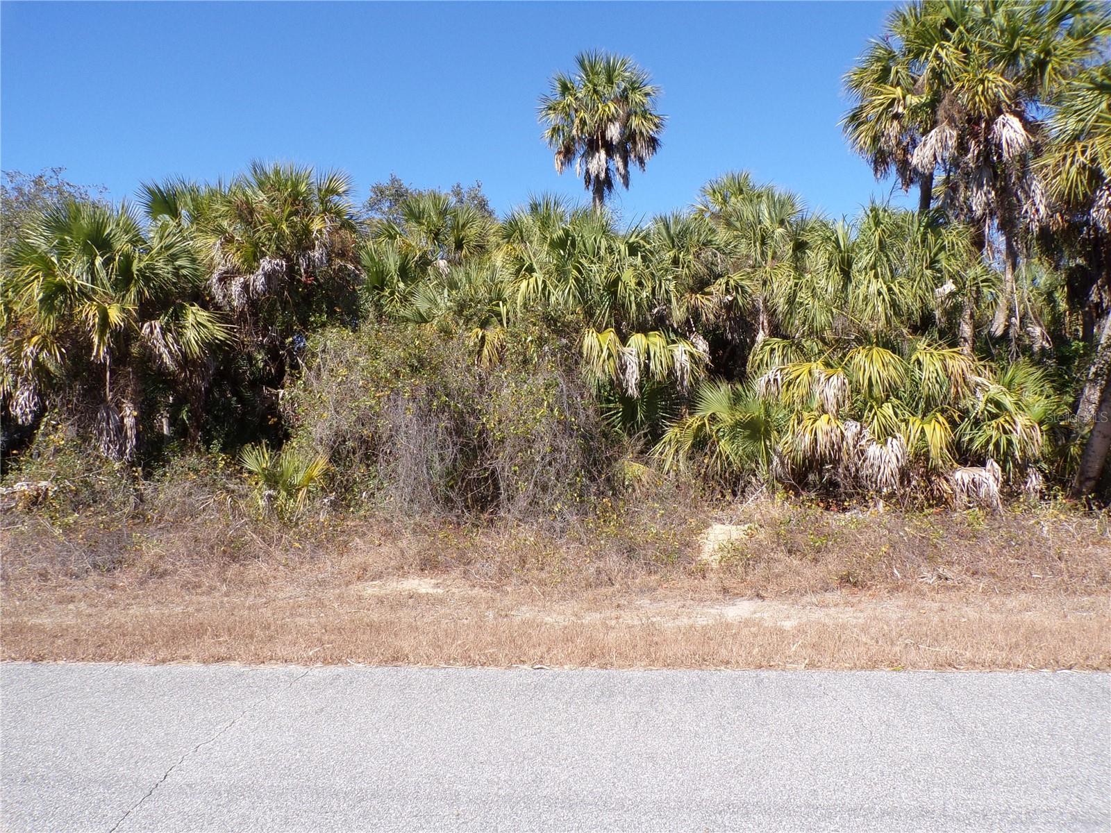 PORT CHARLOTTE SUB 12 - Land