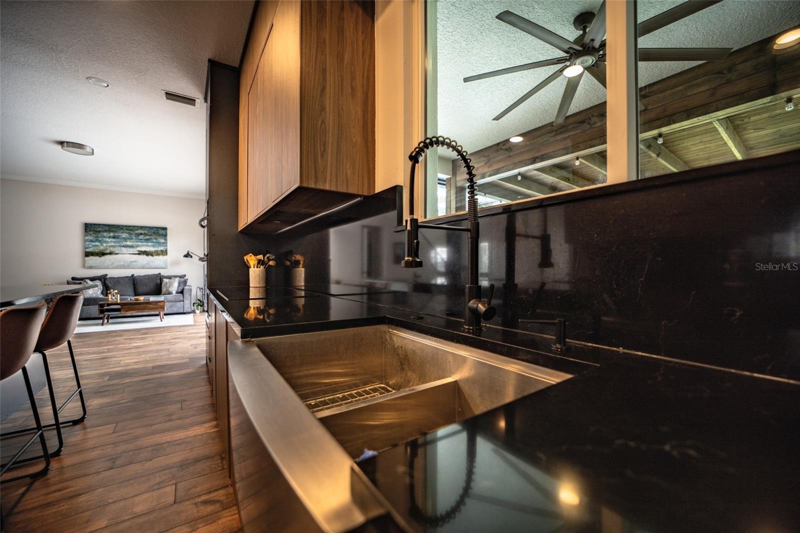 WINDDERMERE POINTE - Residential