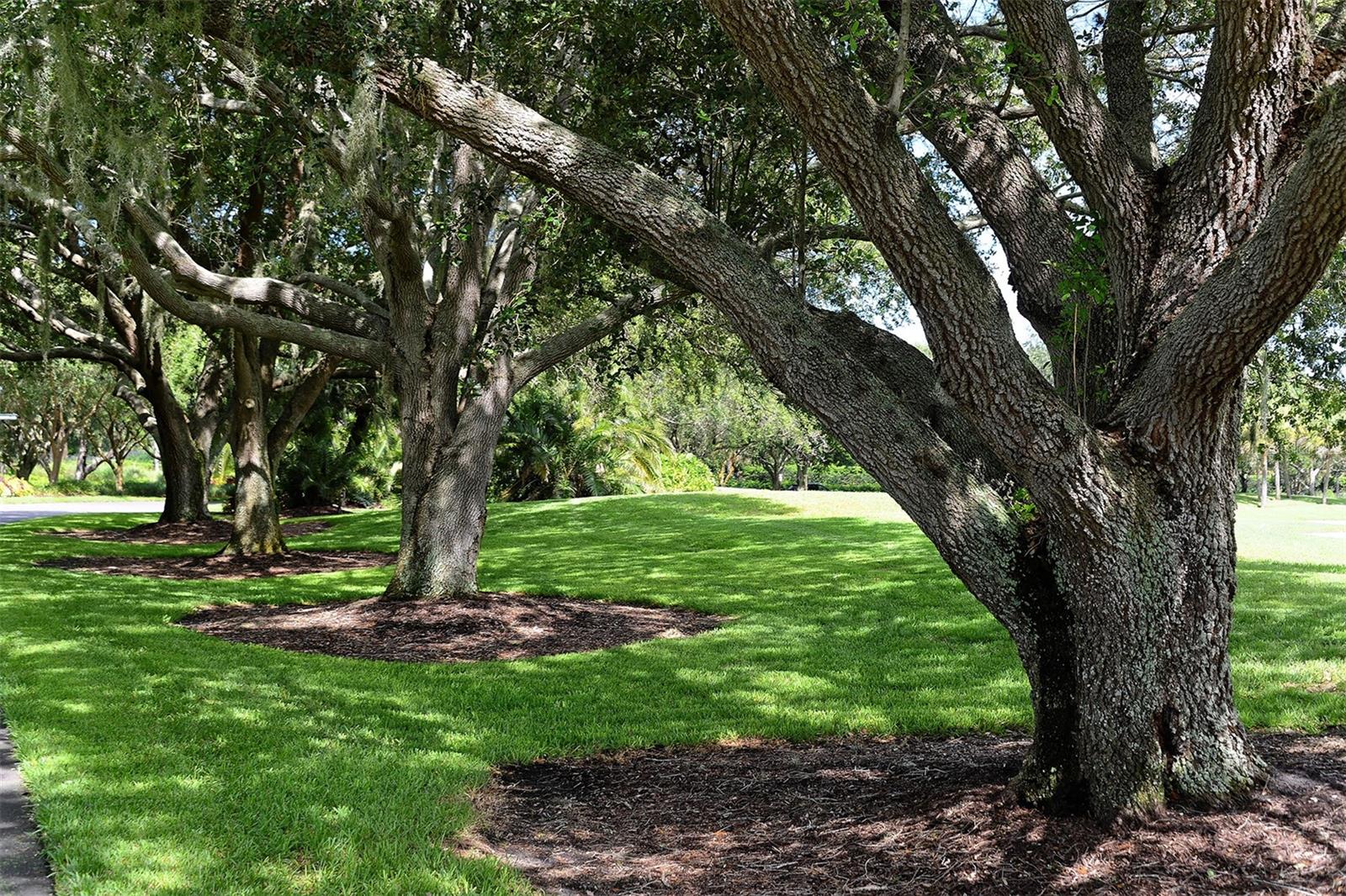 OAKS - Residential