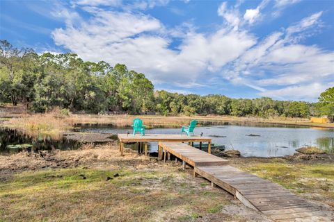 Tiny photo for 24751 SE Highway 450, Umatilla, FL 32784 (MLS # G5107106)