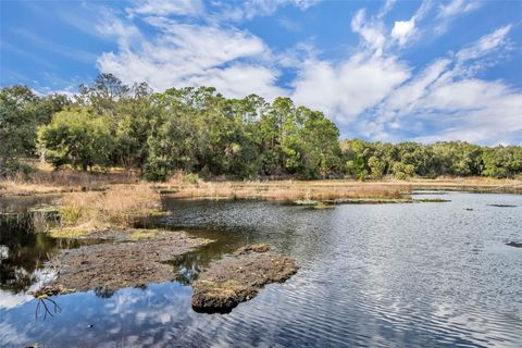 Tiny photo for 24751 SE Highway 450, Umatilla, FL 32784 (MLS # G5107106)