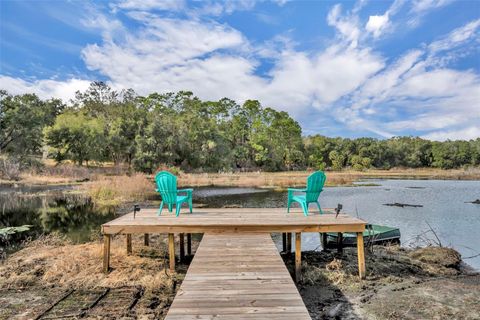 Tiny photo for 24751 SE Highway 450, Umatilla, FL 32784 (MLS # G5107106)