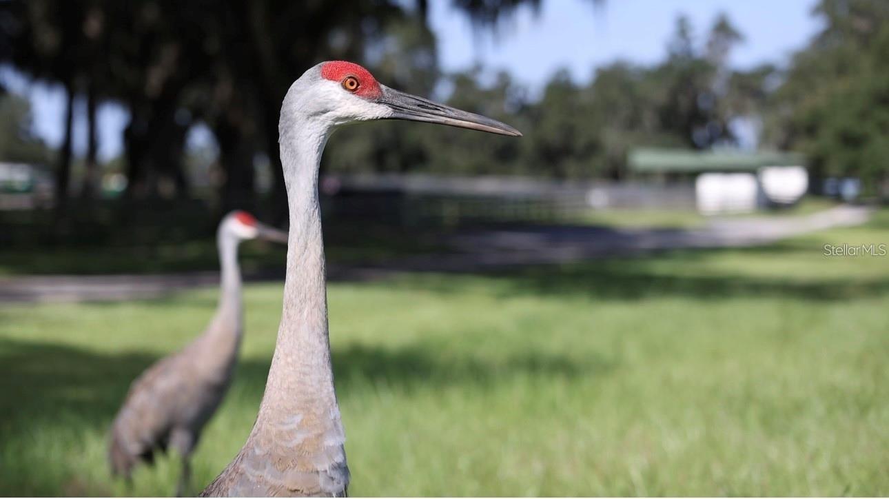 TBD SE 157TH STREET RD