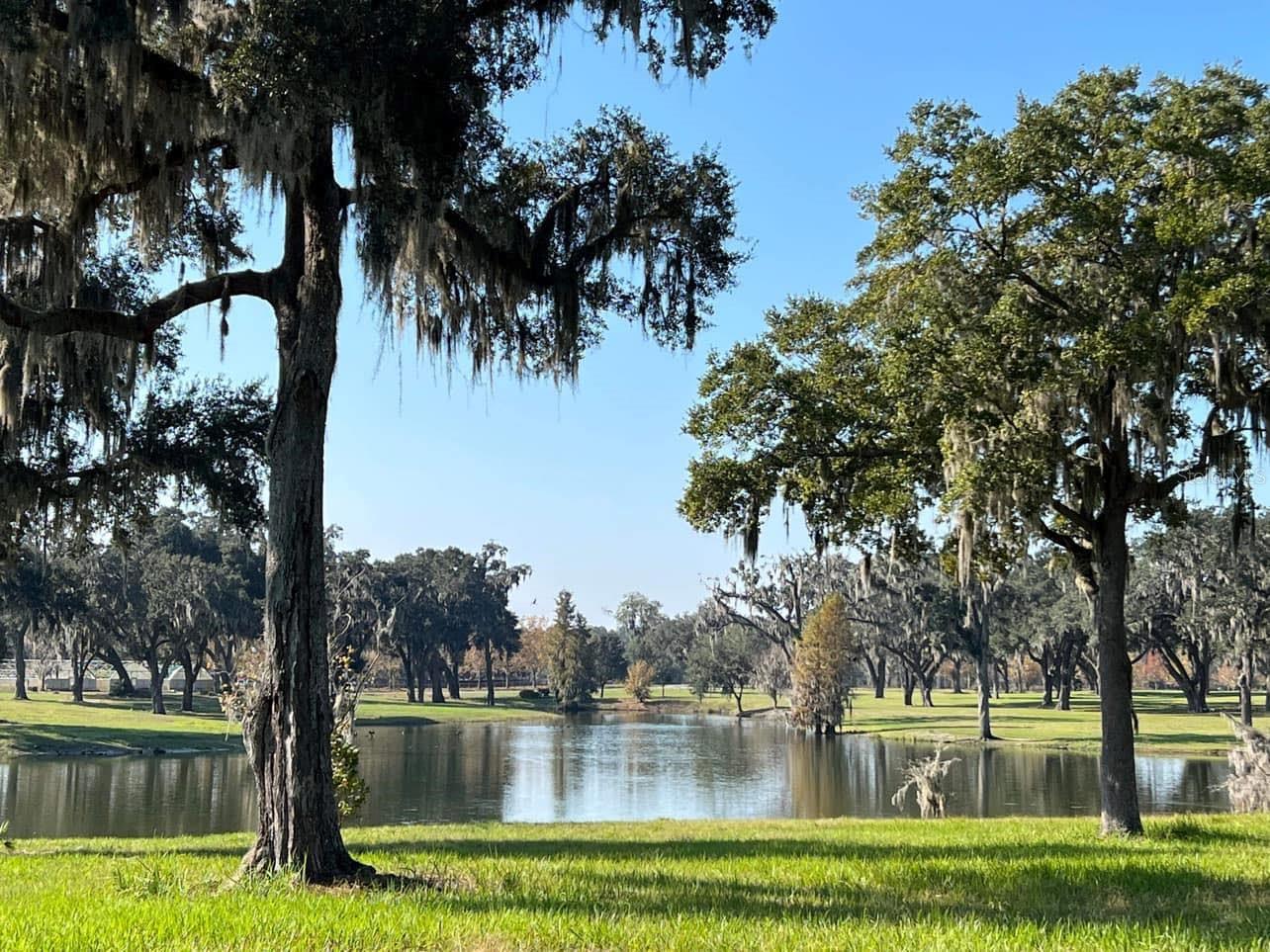 One of the most picturesque building sites in all of Marion County! 28.55 acres of elevated rolling land with iconic massive oak trees and your own private stocked lake! This dream parcel is nestled in the heart of the community and encompasses a private large corner with the ultimate setting to create your own compound or retreat and already fully fenced with four board and no climb. Are you dreaming of a life surrounded by nature, luxury, and top-tier equestrian facilities? Silverleaf Hills Equestrian Estates, a newly developed, gated community spanning over 768+ acres of breathtaking beauty to walk, ride, bike or golf cart around. Why Silverleaf Hills? Imagine waking up to the serene sounds of sandhill cranes and the sight of rolling hills adorned with majestic oak trees overlooking your private spring-fed lake, providing a tranquil escape from the hustle and bustle. Premier Location: Conveniently located near Ocala, The Villages, The Florida Horse Park and the World Equestrian Center, you'll have quick access to shopping, medical facilities, entertainment, and major and private airports in Ocala, Leesburg, Tampa, and Orlando. Equestrian Excellence: Nestled in the back of the community with one of the highest elevations for amazing picturesque views. The community features underground utilities, no time frame to build and bring your builder of choice! While you are preparing to build or want long term horse care there is boarding options available within the community.