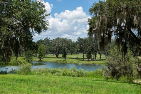 Tiny photo for Tbd SE 157th Street Rd, Summerfield, FL 34491 (MLS # OM704476)