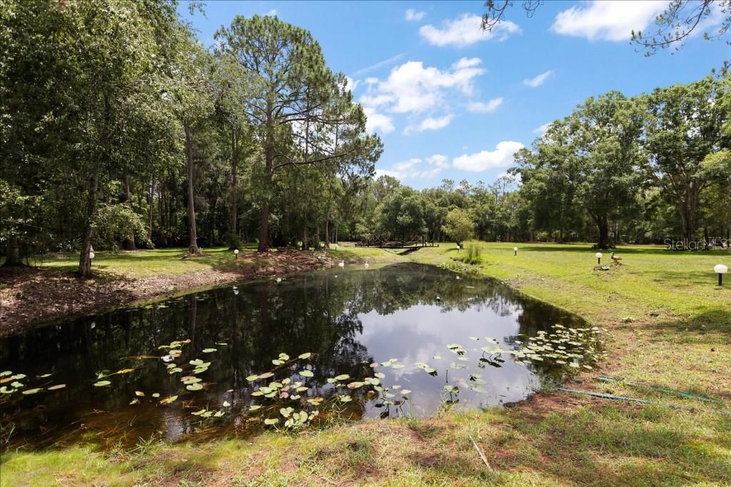 Photo of 935 Ranch Road, Tarpon Springs, FL 34688 (MLS # TB8403410)