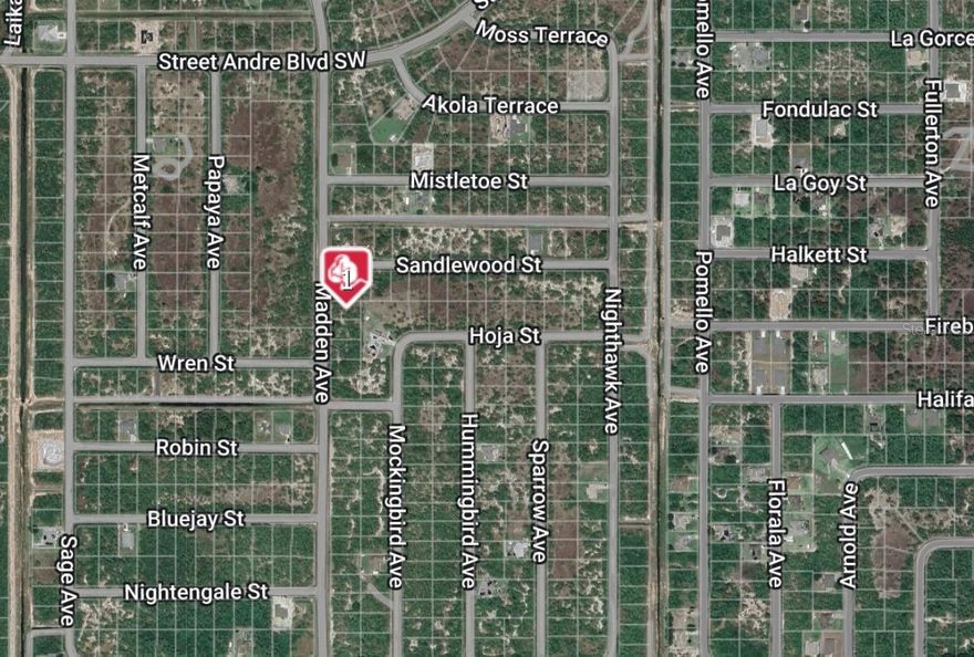 Don't miss this incredible opportunity to own a vacant lot in beautiful Palm Bay, just minutes from the beach! This prime piece of land is perfect for building your dream home or investment property in a growing community. Enjoy the best of Florida living with easy access to shopping, dining, parks, and top-rated schools. Whether you're looking for a peaceful retreat or a smart investment, this lot offers endless potential. No HOA and conveniently located near major highways for easy travel. Secure your slice of paradise today!