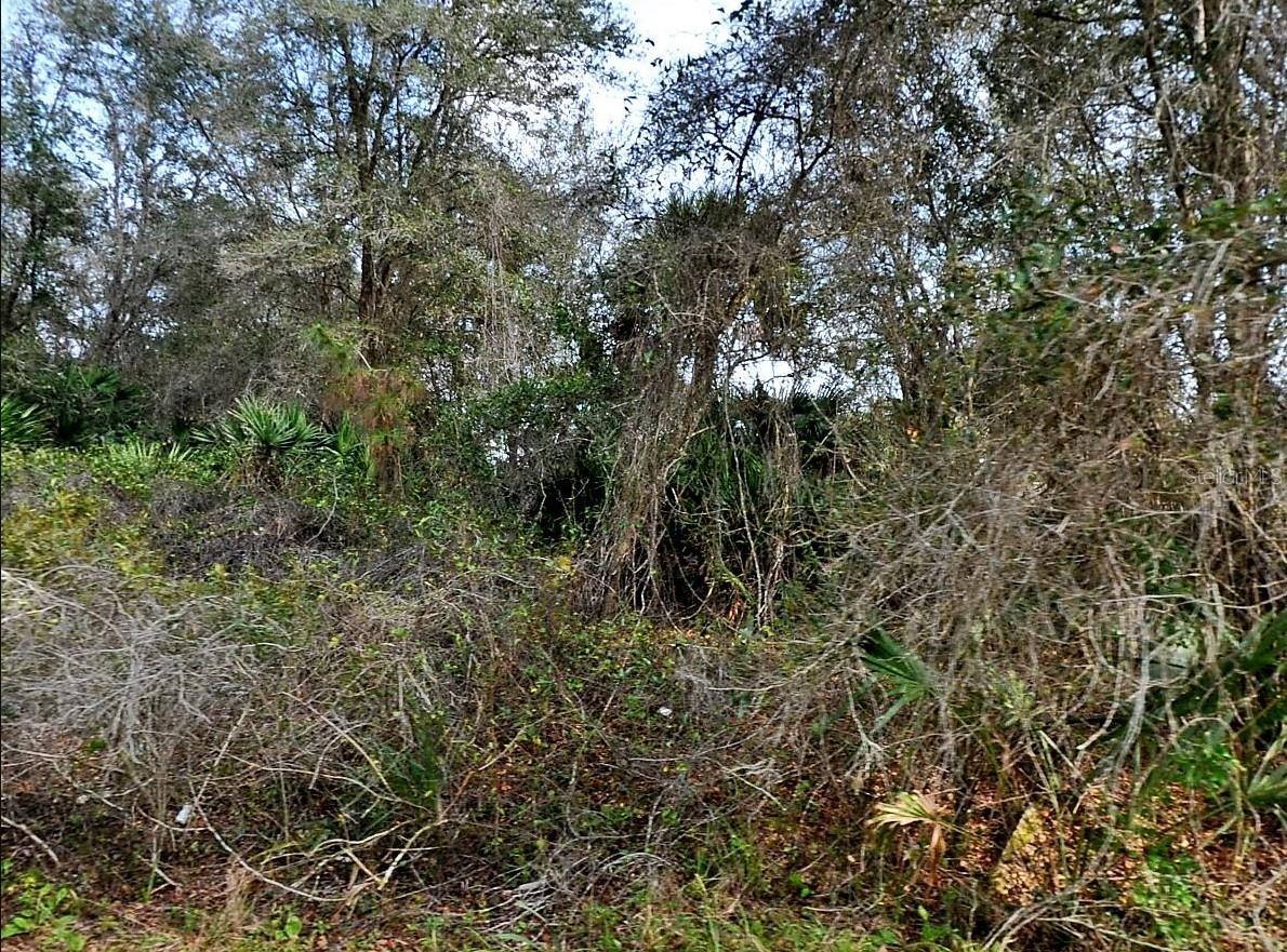 Discover your opportunity with this double lot in an up and coming neighborhood! These spacious parcels provide the perfect foundation for your dream home, and best of all—they’re located outside of any flood zone