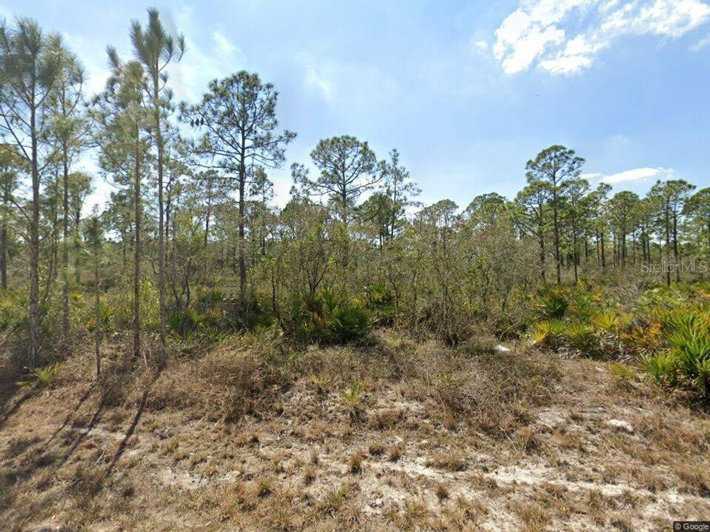 Photo of 1140 Heron Street, Lake Placid, FL 33852 (MLS # A4674511)