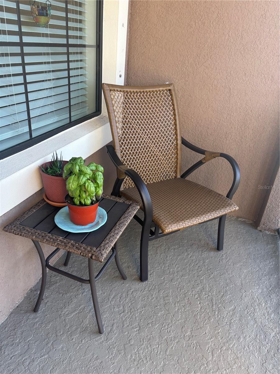 BACCIANO III AT ESPLANADE LAKEWOOD RANCH - Residential Lease