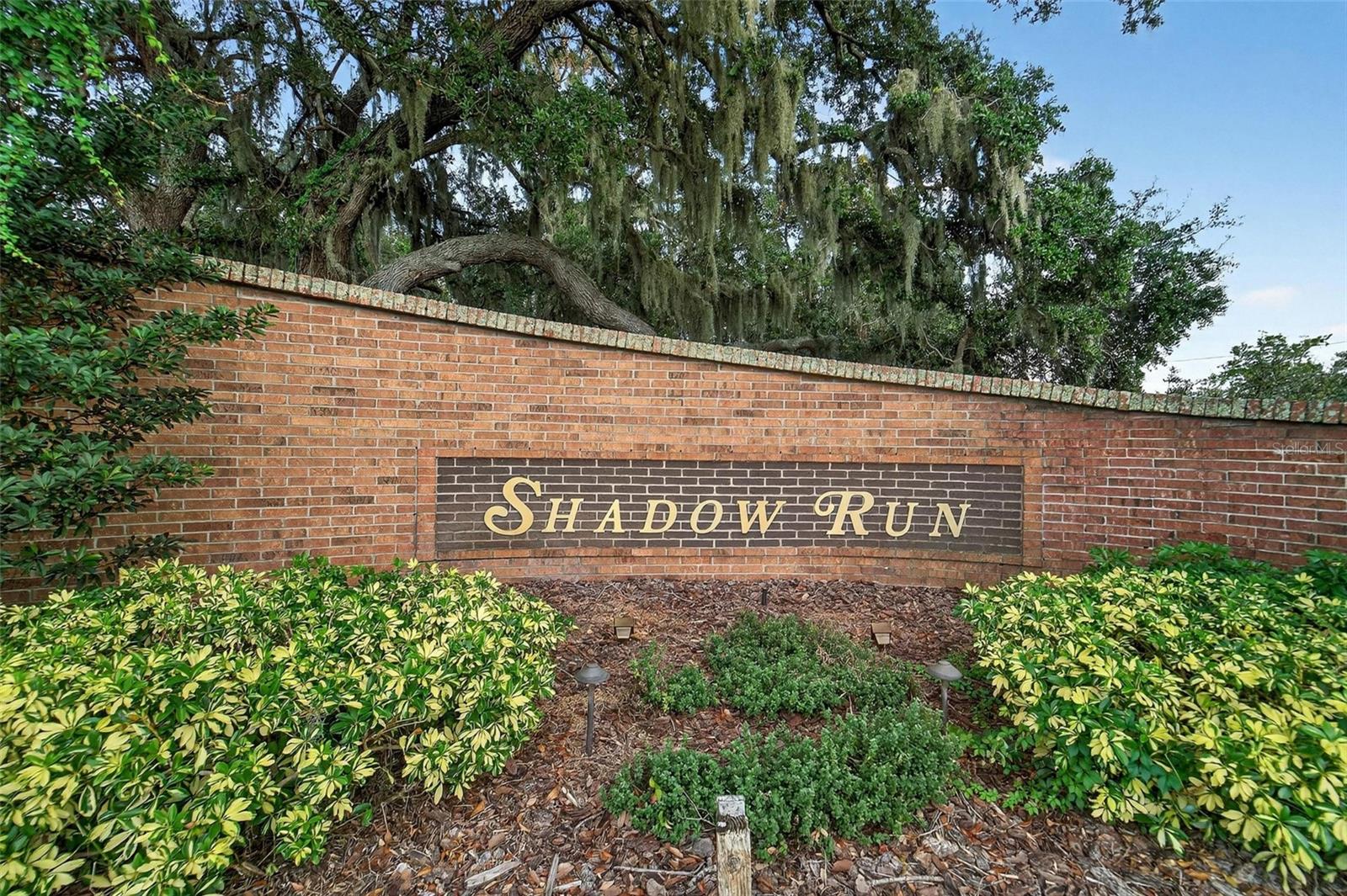 SHADOW RUN - Residential