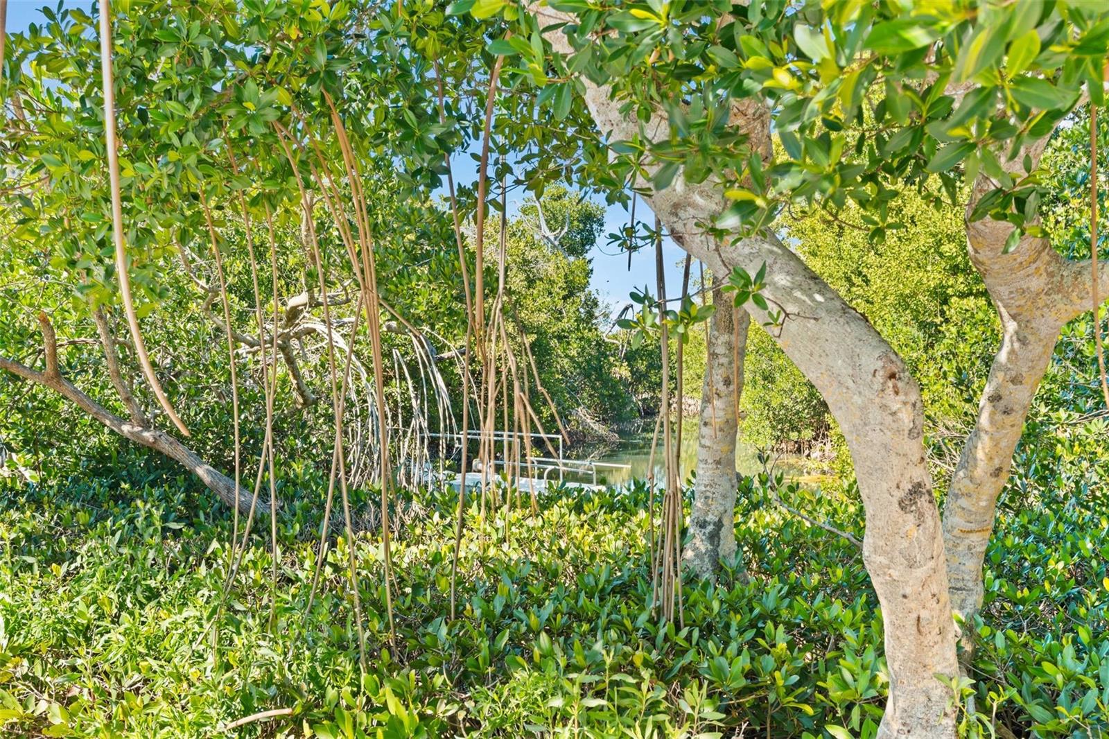 HIDDEN LAGOON BEACH CLUB - Residential