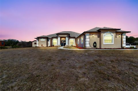 Photo of 18317 Treehaven Drive, Hudson, FL 34667 (MLS # W7883026)